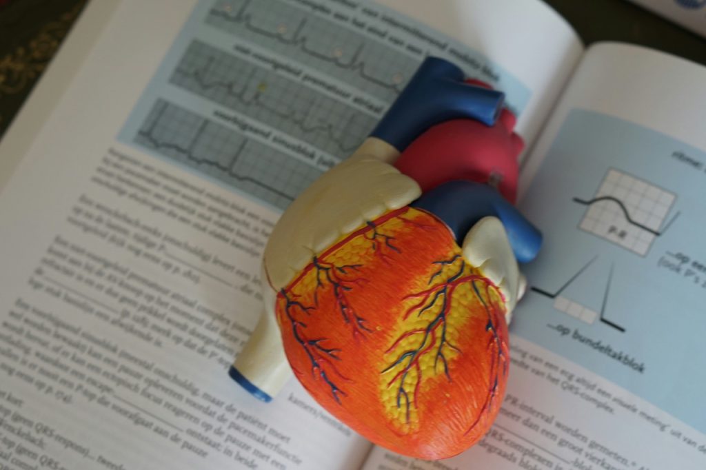 ACLS training book and heart model